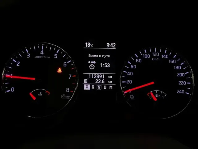 Nissan X-Trail, II Рестайлинг — фото 19
